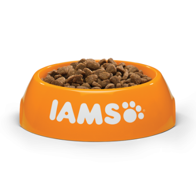 IAMS Adult Cat (ėriena) 10kg