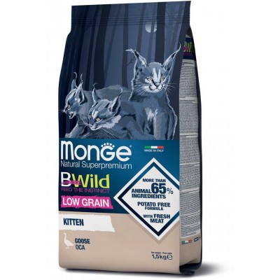 Monge BWild Kitten...